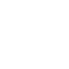 X icon